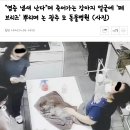 뿌리동물병원 이미지