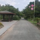 영마루공원 농구장 이미지