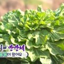 해남농원