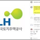 맛동산부동산 이미지