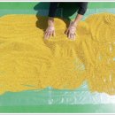 최순복농장 이미지