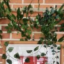 미소들노인전문병원 이미지