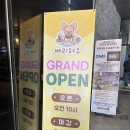 숲에온유치원 | 중소형견전용 수원 인계동 애견카페 베리하오 넓은 야외운동장과 루프탑까지!