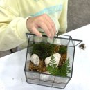(원데이) 나만의 작은 숲, 테라리움 이미지
