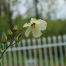 세종1차아파트 이미지