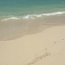 아구아벨다이빙리조트 | 일본의 몰디브, 미야코지마 가족 여행