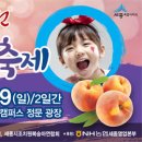 세종시 조치원 복숭아 축제(8월 8일 토요일~9일) 이미지