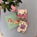 보타니컬아트 (중급) 이미지