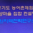 원더플컨설팅