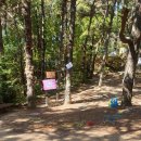 경신유치원 이미지