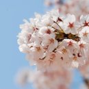 현북초등학교 이미지