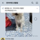 언더아멍 이미지