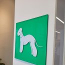 오미네커피 | [오미네커피] 청라 스퀘어7에 위치한 애견동반 커피숍 강아지와 산책하다 쉬어가는 omine coffee