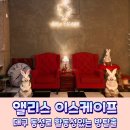 대구 시내 놀거리 동성로 방탈출 앨리스 이스케이프