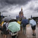 (주)월드 엔터테이먼트 이미지