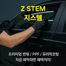 지스템