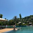 정하농장 | 8월 여름휴가 베트남 나트랑 4박 6일 ep.6 (퓨전리조트 칙 스위트) 최고였던 숙소 추천