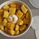 한길프라자 | 설빙 신메뉴 자망코(자몽 망고 코코넛펄) 후기, 설빙 양주옥정점