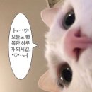 황고개로1R | 🐹 오랜만에 무탈한 일상 기록