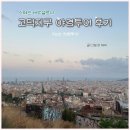 추억쌓기민박 | 스페인 바르셀로나 허빵투어 고딕•벙커 야경투어 후기