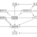 농약의 약해 이미지