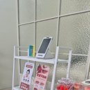 디자인세연