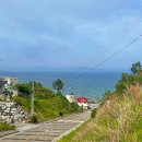 어달,아리 이미지