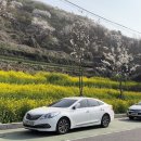 노량주차장(충렬사) 이미지