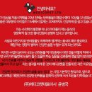 메디코 티스토리