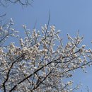 순천제일유치원