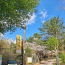 다래산장 민박 이미지