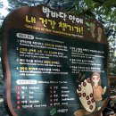 [Y퓨처리스트] YF민트크루 🌿휴휴자적 나그네들🌿 운영&amp;활동 리뷰