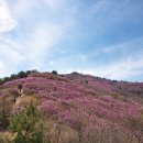 뜸부기산악회 4월산행 여수 영취산 이미지