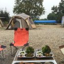 울성낚시터 이미지