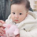 치열목장 이미지