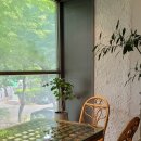 슬로울리인무학 이미지