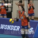 하이독스 네이버블로그