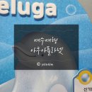 사랑애(愛) | 여수여행 아쿠아플라넷 할인방법 전남사랑애서포터즈 TIP