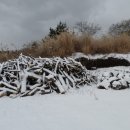 나미송머무는곳 민박 이미지