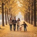 풀잎나루공원 | 경남 진해에서 강아지(반려견)🐶과 함께 가을산책하기 좋은 여행지 BEST 3