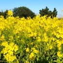 평생학습실 이미지