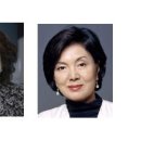 삼성미술사 헤럴드경제