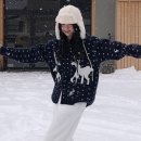 티-소프트 이미지