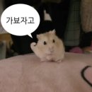 가스산업기사 합격 후기