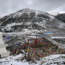 The GANZI