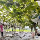 이순희농장 이미지