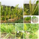 증산농장 이미지