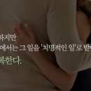 건강의 숲 이미지