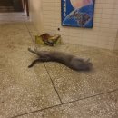 울라봉 호스텔 이미지