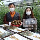 최광호농장 이미지